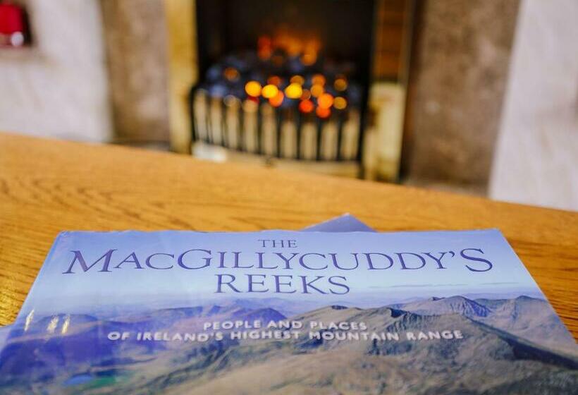 Bed and Breakfast The Harp