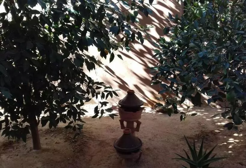 Majatalo Maison D Hôtes Afoulki Tafraout