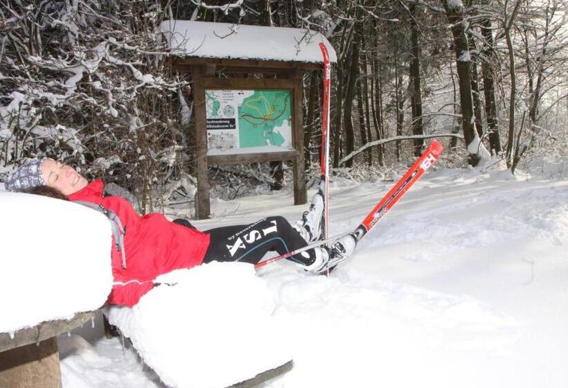 膳宿费 Famos Schlafen