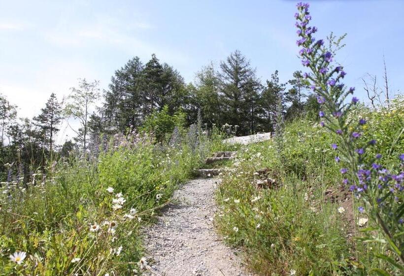 膳宿费 Famos Schlafen