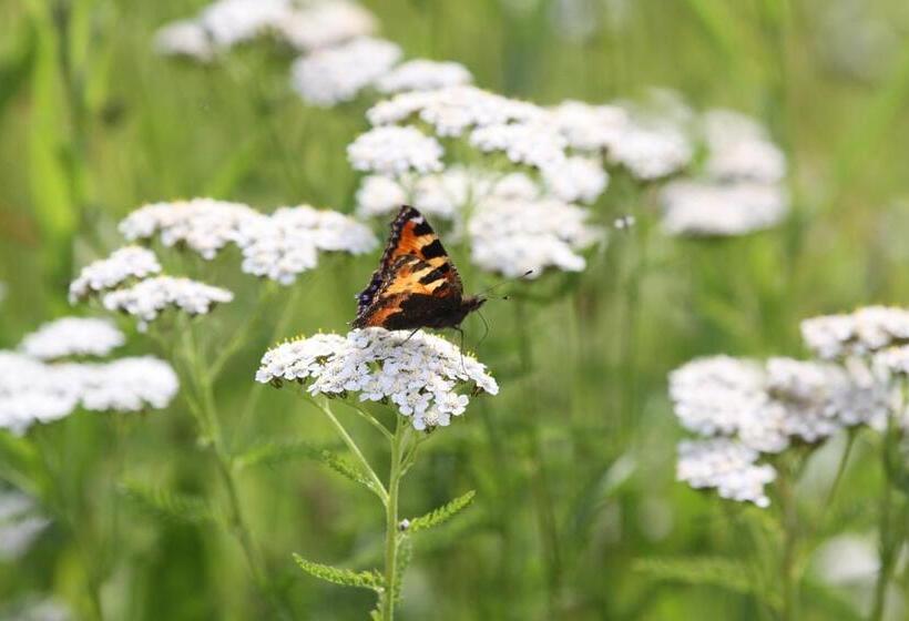 膳宿费 Famos Schlafen