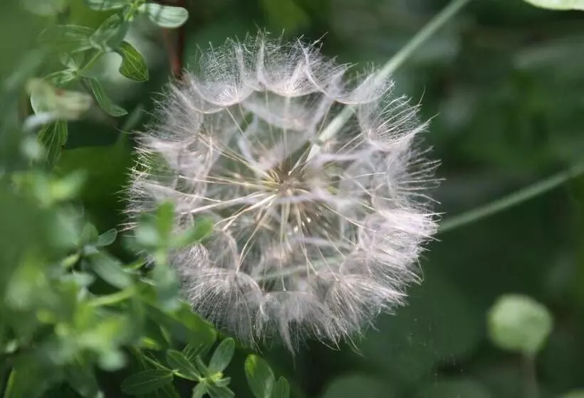 Majatalo Famos Schlafen