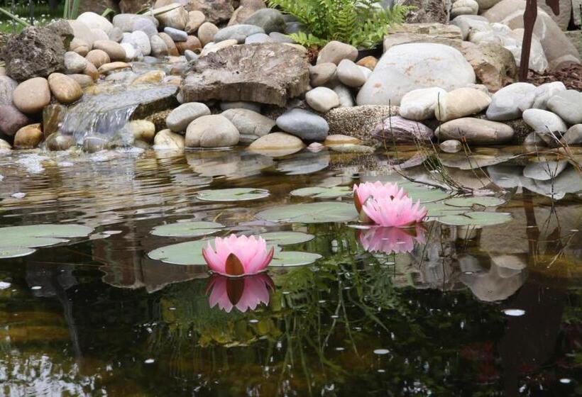 膳宿费 Famos Schlafen