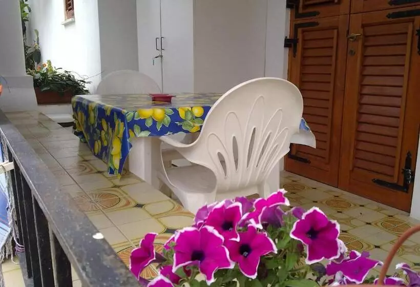 پانسیون Villa Rosa