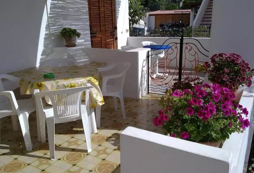 پانسیون Villa Rosa