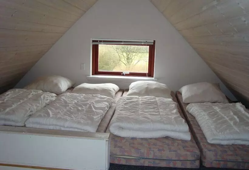 Grindsted Aktiv Camping