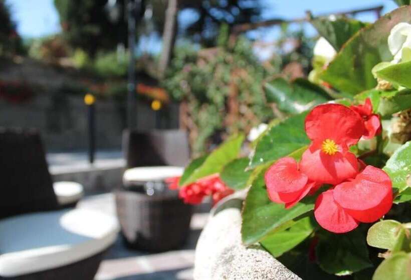 فندق Albergo Centopini