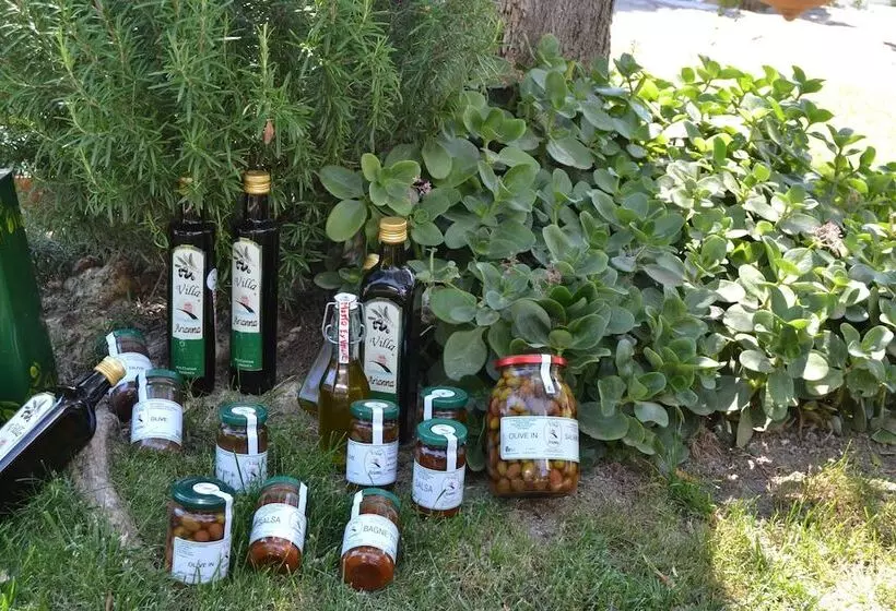 ホテル Azienda Agrituristica Villa Arianna