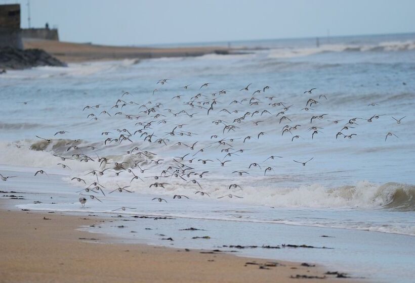 בית מלון כפרי Beau Rivage Hôtel Restaurant