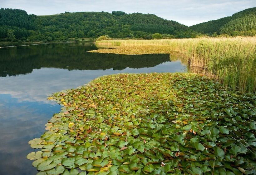 ホテル Maarium Meerfeld