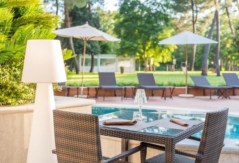 فندق Stella Della Versilia