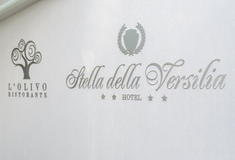 فندق Stella Della Versilia