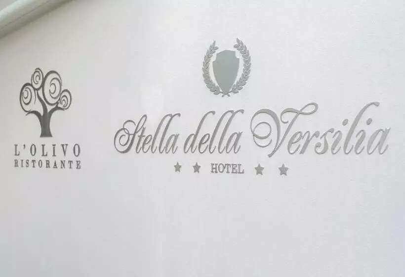 酒店 Stella Della Versilia