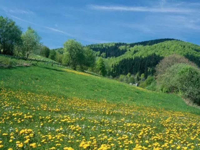 Lomakeskus Typ Dachsbau