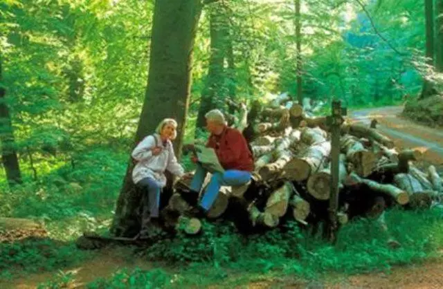 Lomakeskus Typ Dachsbau