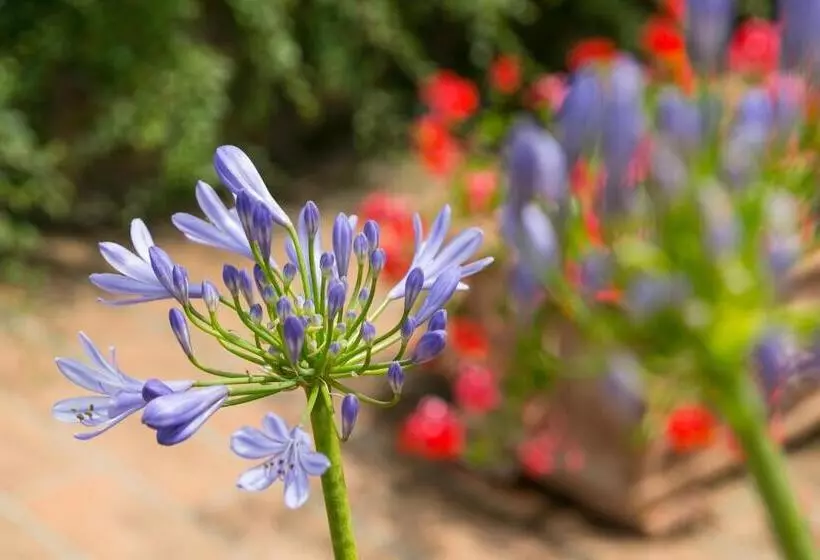 ベッドアンドブレックファースト Le Camere Del Relais La Pieve Vecchia