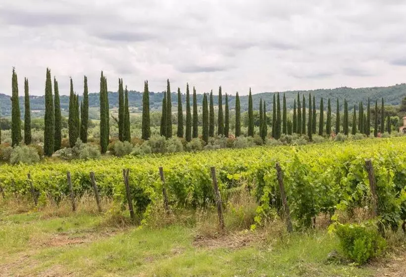 ベッドアンドブレックファースト Le Camere Del Relais La Pieve Vecchia