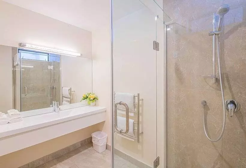 Auckland Newmarket Motel