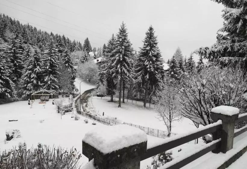 호텔 Albergo Ristorante Scanapà