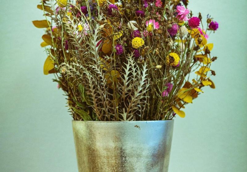 فندق Alpenruhe   Vintage Design