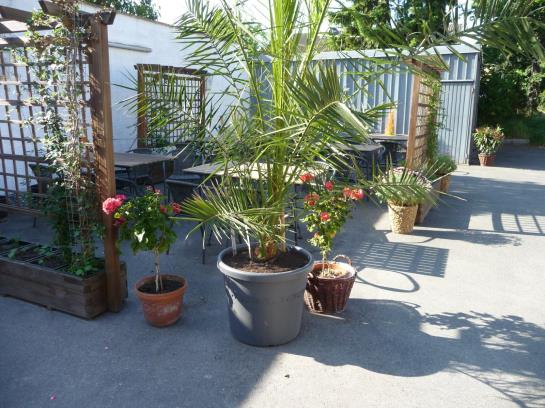 酒店 & Restaurant Arnoldusklause