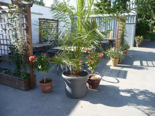 ホテル & Restaurant Arnoldusklause