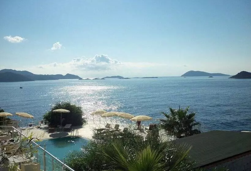 בית מלון כפרי Cachet Adults Only