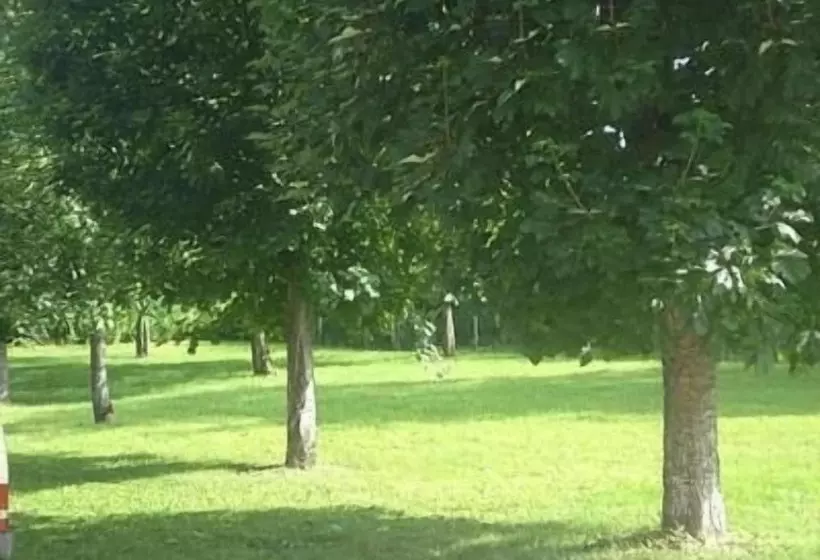 Отель Chambres D Hôtes La Chaumière