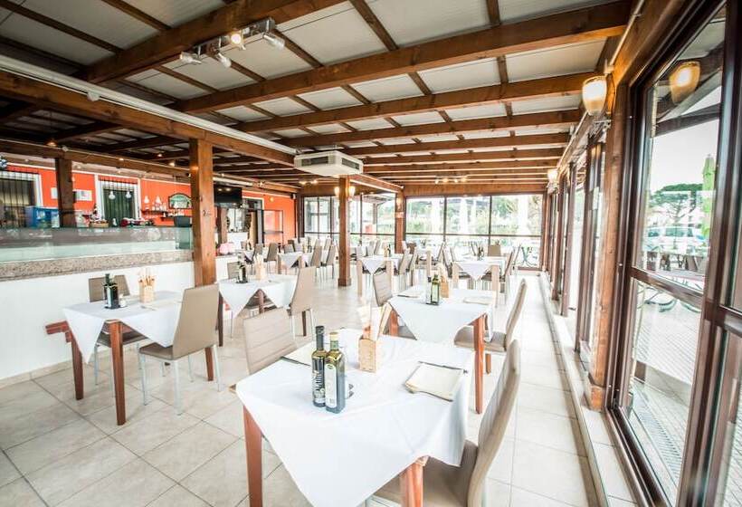 בית מלון כפרי Johnson