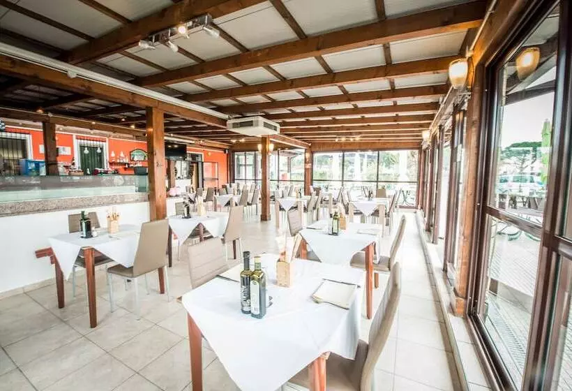 בית מלון כפרי Johnson