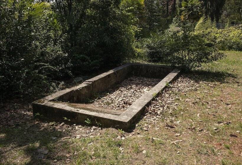 호텔 Monte Verità