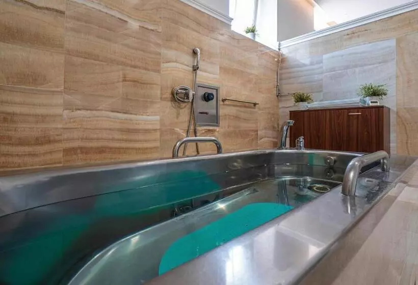 酒店 Radium Palace