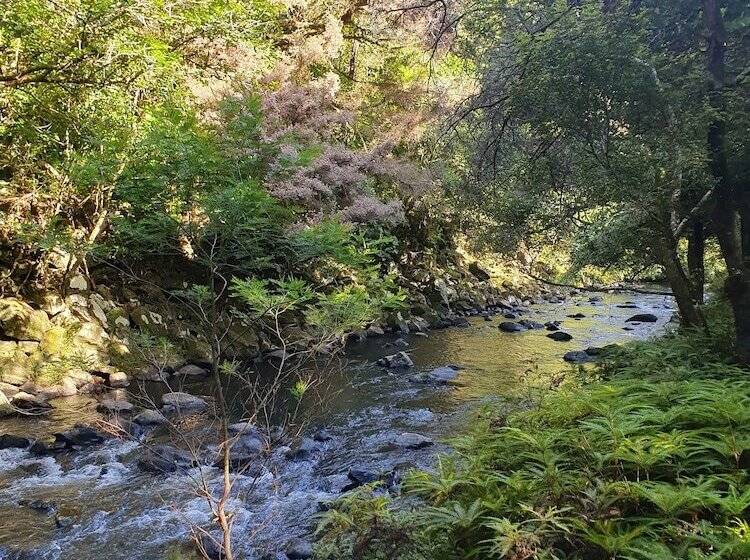 מוטל Kerikeri Park Lodge