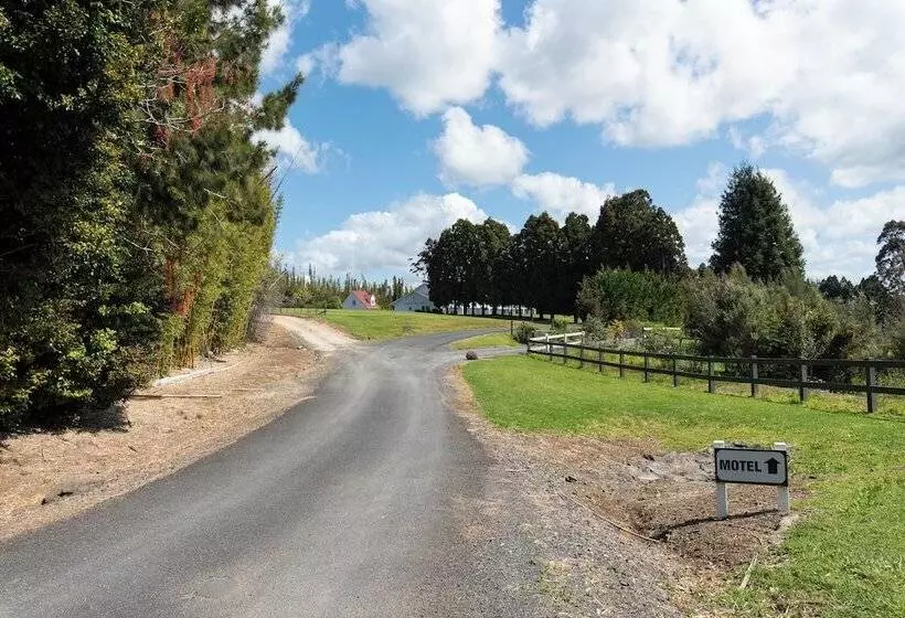 汽车旅馆 Kerikeri Park Lodge