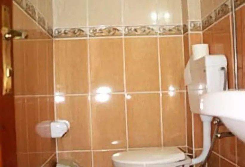 فندق على الطريق Ani Pension