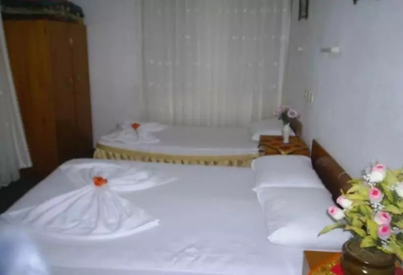 فندق على الطريق Ani Pension