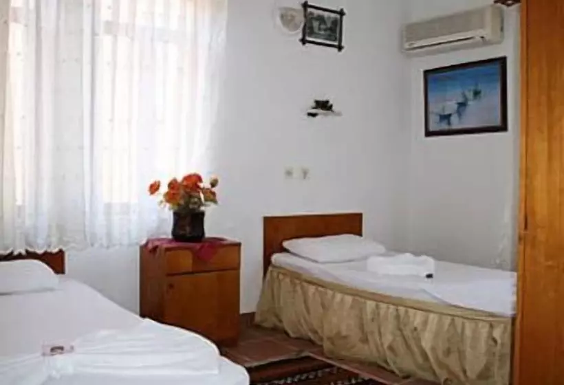 فندق على الطريق Ani Pension