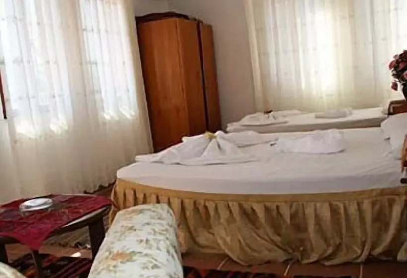 فندق على الطريق Ani Pension