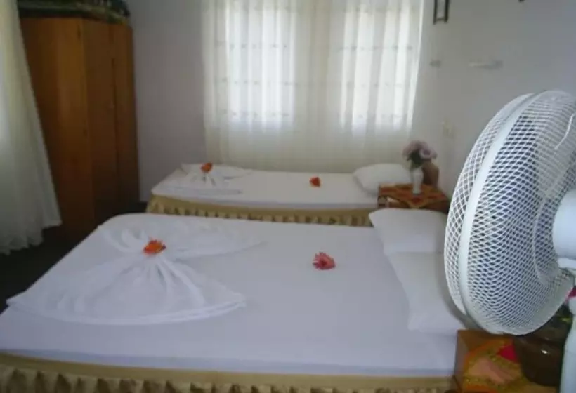 فندق على الطريق Ani Pension