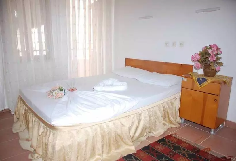 فندق على الطريق Ani Pension