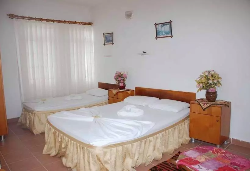 فندق على الطريق Ani Pension