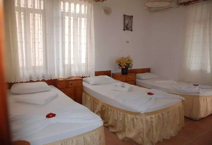 فندق على الطريق Ani Pension