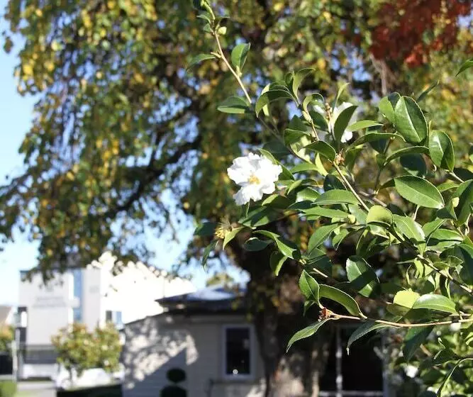 汽车旅馆 Merivale Manor