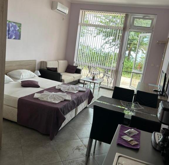 بنسيون Villa Maria 2