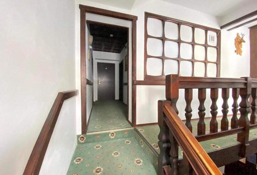 Pensiunea Pasul Clabucetului