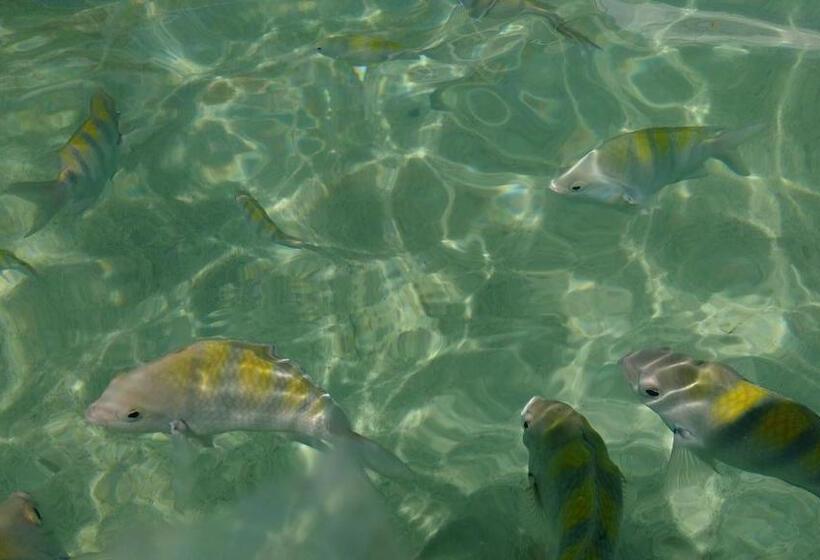 צימר Villa Da Barca