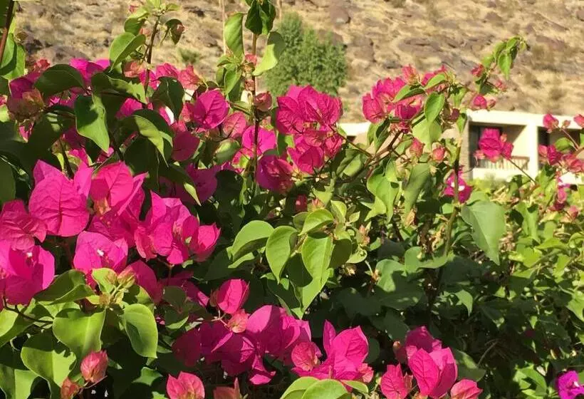 Getaways At Palm Springs Tennis Club