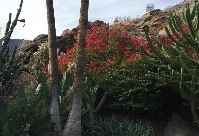 Getaways At Palm Springs Tennis Club