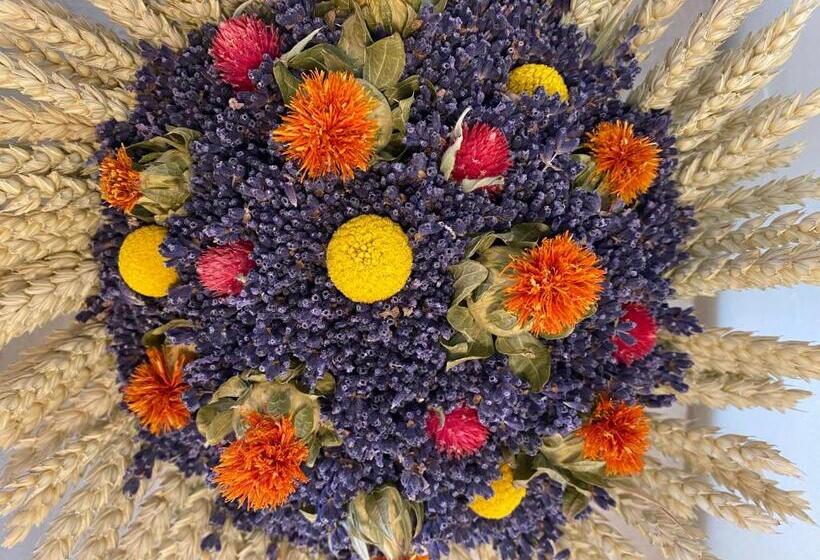 فندق Mas De La Beaume