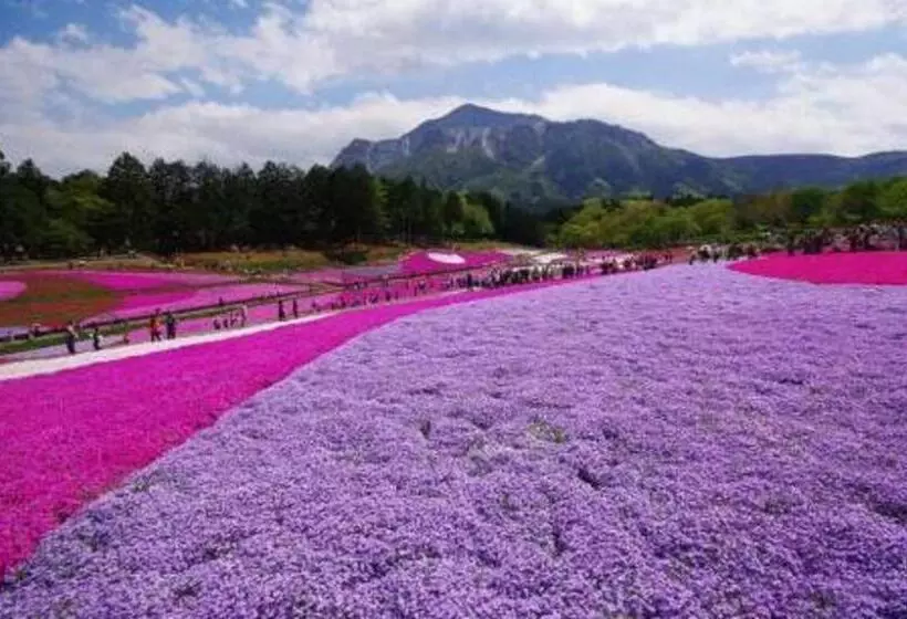 One Meter Sunshine Hotel Xi An Xianyang International Airport Flagship Store